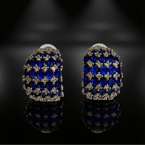 Beautiful Blue and Silver Earring